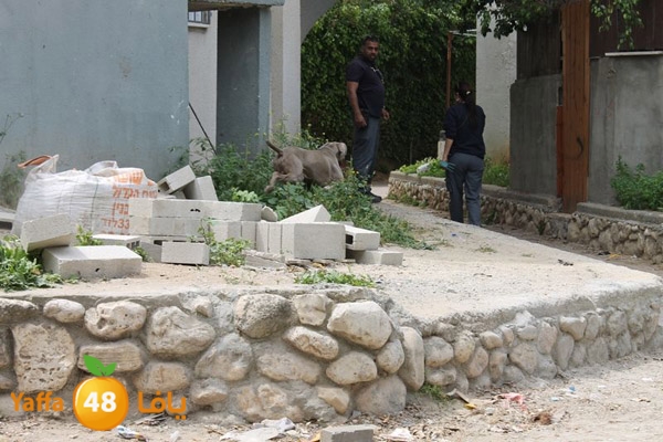 ludpolicedogs411 (3).jpg